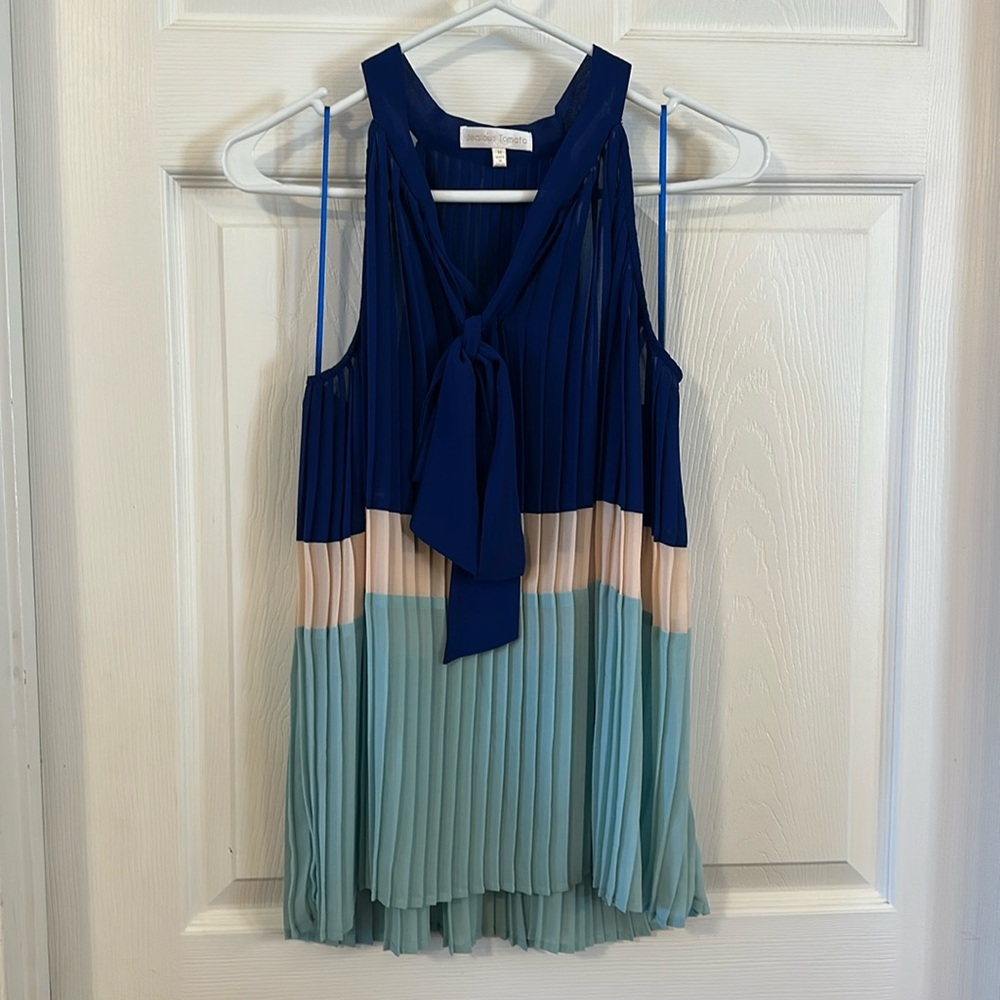Jealous Tomato, Medium, royal, ivory, minty green pleated top.